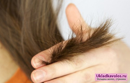 Как избавиться от секущихся волос без дорогостоящих процедур